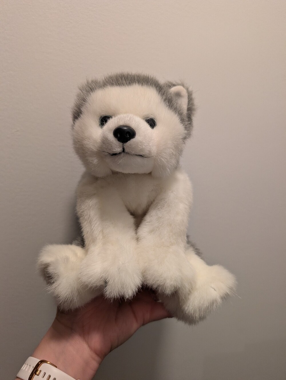 "Dakota" Large Ty Beanie Baby Buddies Plush Siberian Husky Dog
